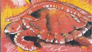 Dale's Turtle & L'fish 3