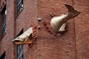 fish-building
